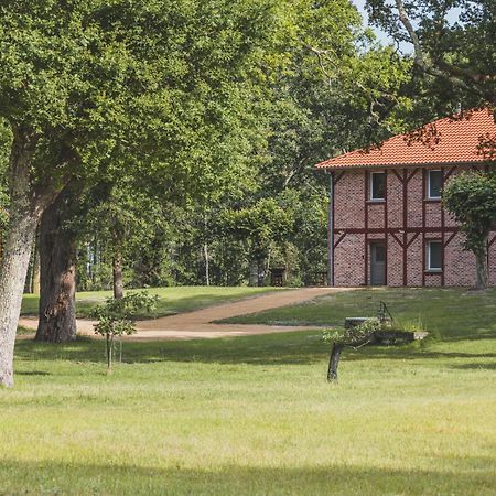 Maison Montaut Onesse-et-Laharie Dış mekan fotoğraf